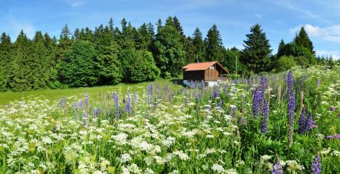 berghotel-oberhof-thueringer-wald-1