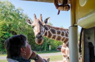 Safari avontuur en pure ontspanning: uw vakantie in Duitsland