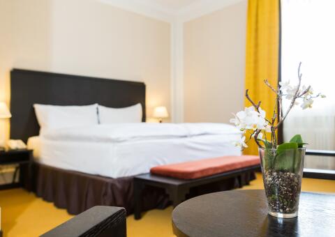 Hotel Euler Basel-0
